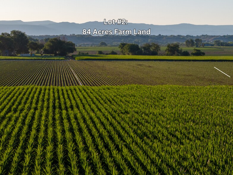 More Photos Of 53582 Falcon Rd, Olathe Winery Vineyard For Sale