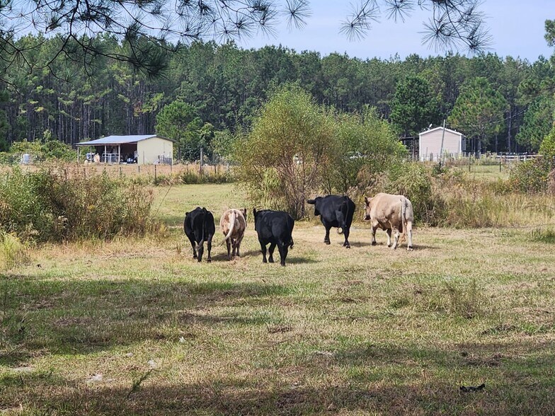 More Photos Of 6939 SW 1 Federal Rd, Lamont Land For Sale