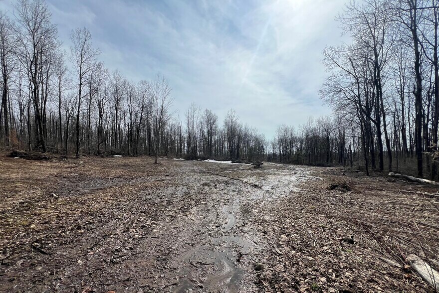 More Photos Of 1601 NY-29, Little Falls Land For Sale