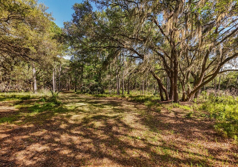 More Photos Of 0 King Rail Lane, Edisto Island Land For Sale