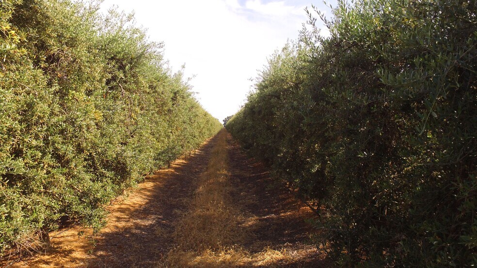 More Photos Of Cottonwood Road @ Hwy 99 & Hwy 70, Oroville Land For Sale