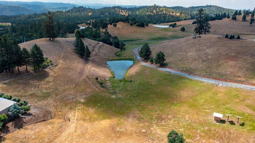 More Photos Of 7279 Mountain Ranch, Mountain Ranch Land For Sale