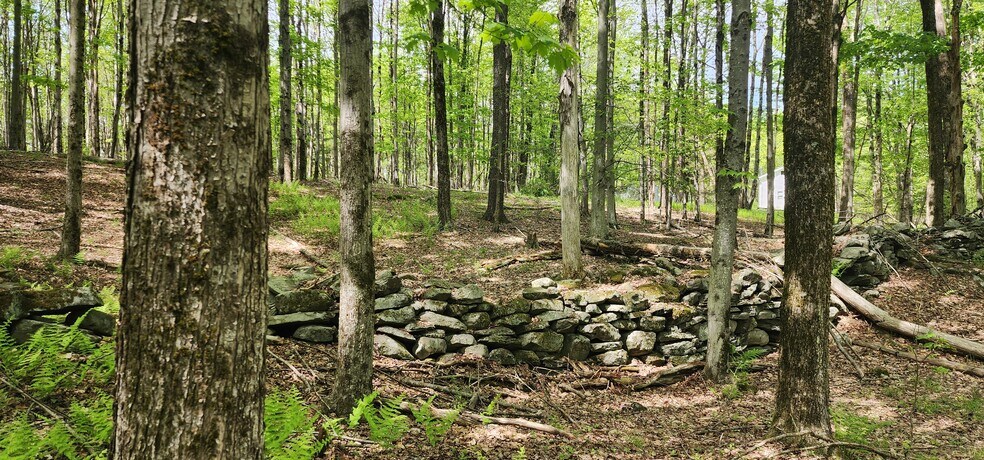 More Photos Of 1433 Co 56 Rd, Mountain Dale Land For Sale