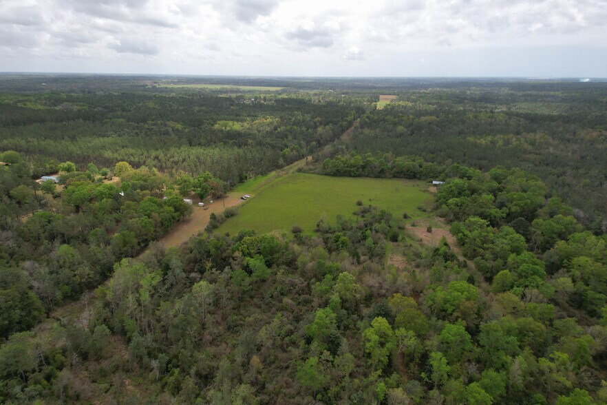 More Photos Of 12960 County Road 48, Silverhill Land For Sale