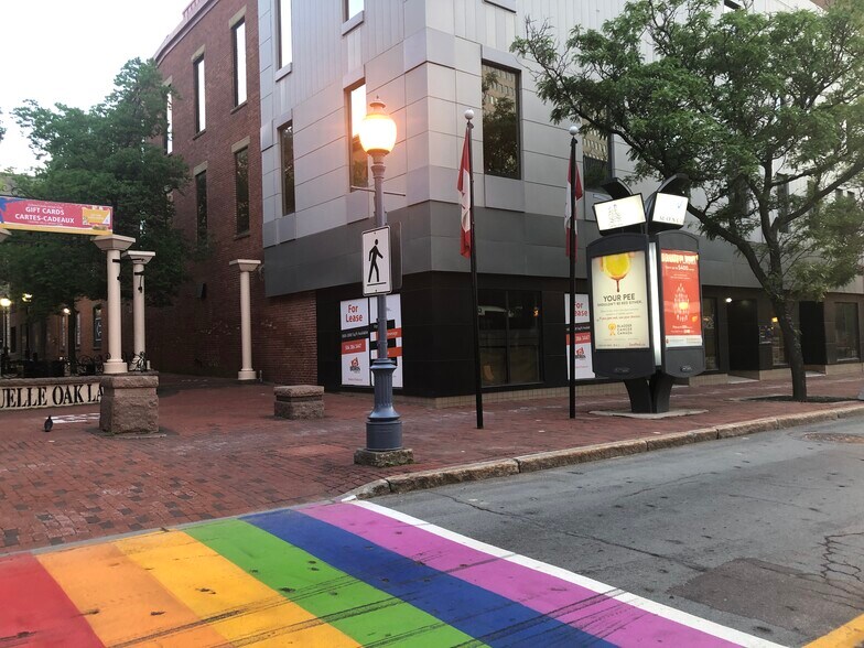 Primary Photo Of 795 Main St, Moncton Flex For Lease