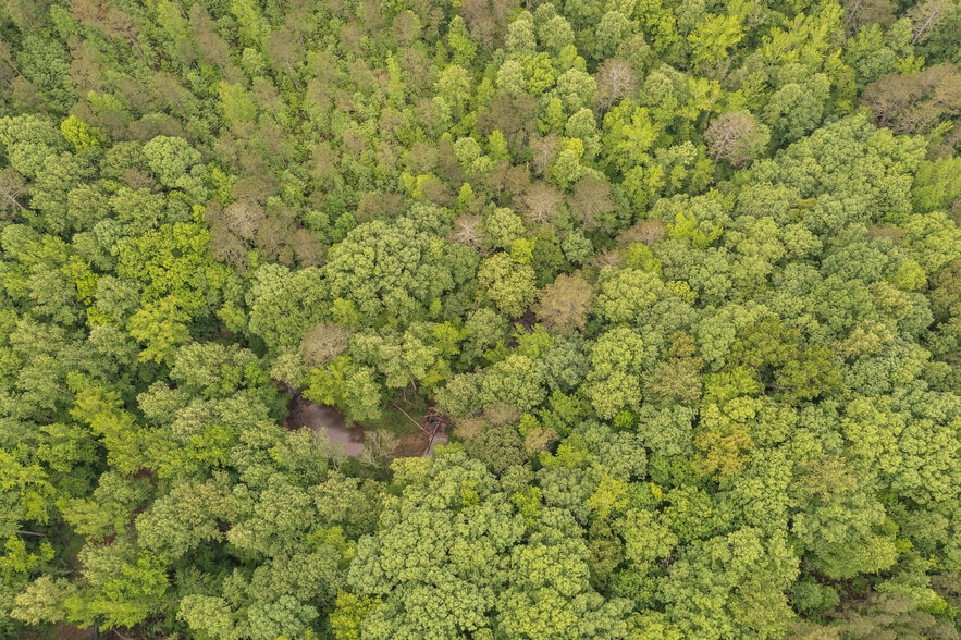 More Photos Of HWY 515 & Hidden Creek rd, Jasper Land For Sale