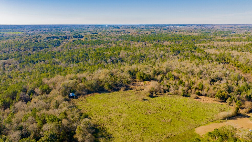 More Photos Of 12960 County Road 48, Silverhill Land For Sale