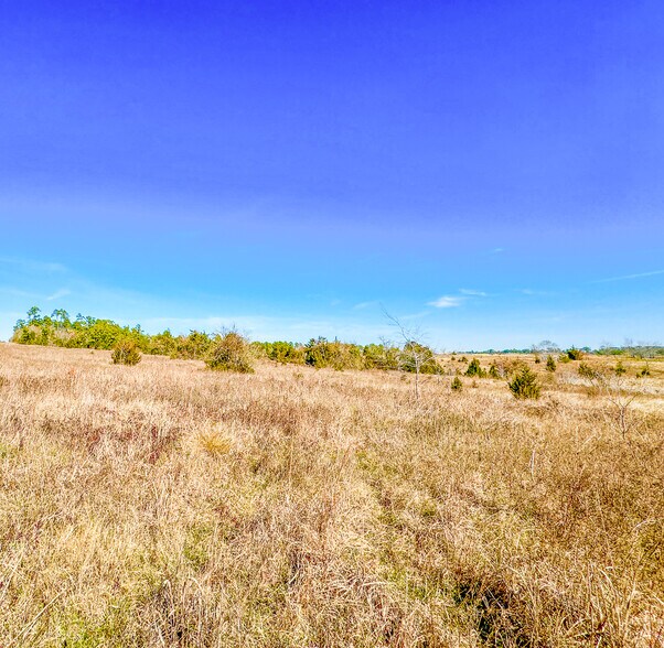 More Photos Of 107 Ac Veterans Memorial Pkwy, Huntsville Land For Sale