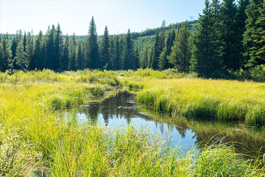 More Photos Of Nhn Logan Creek Road, Kila Land For Sale