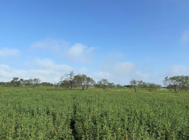 More Photos Of 4363 FM 1126, Corsicana Land For Sale