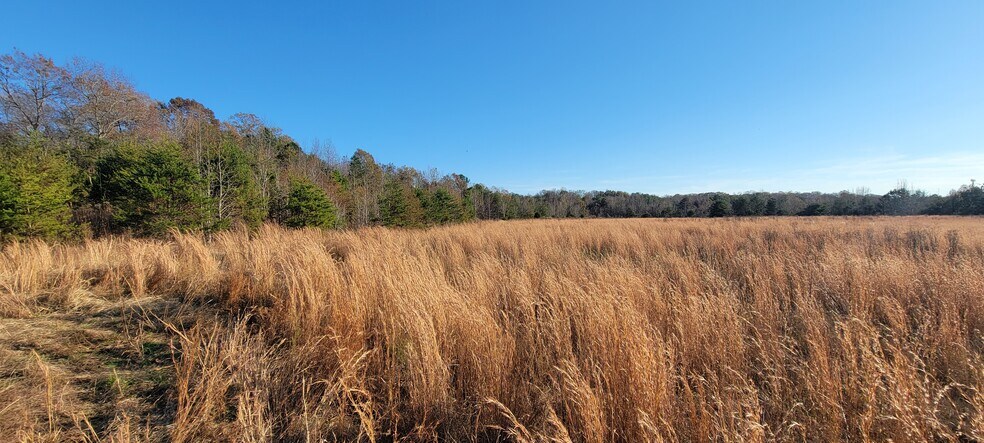 More Photos Of 99999 Weaver St, Columbus Land For Sale