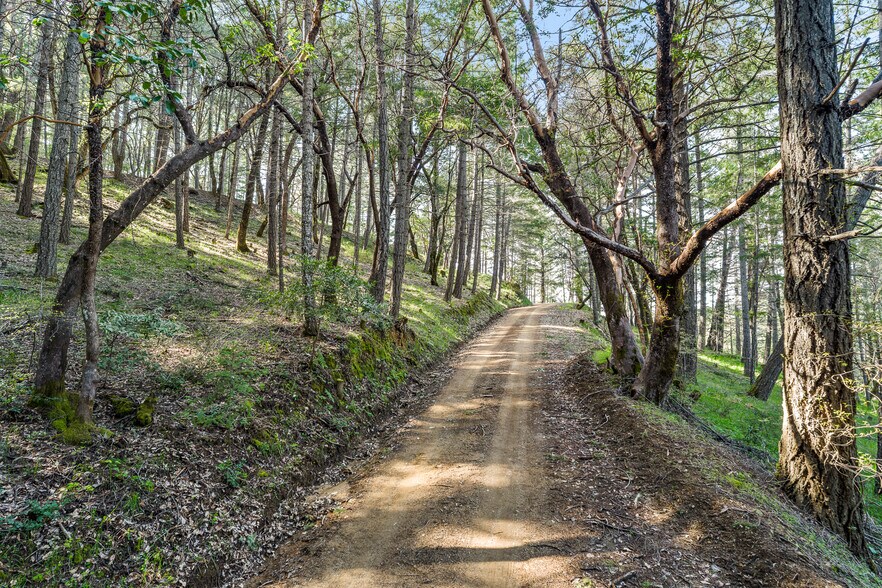 More Photos Of 5155 Mill Creek Rd, Talmage Land For Sale