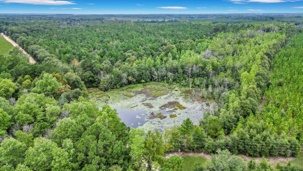 More Photos Of 2437 GA Highway 121, Glennville Land For Sale
