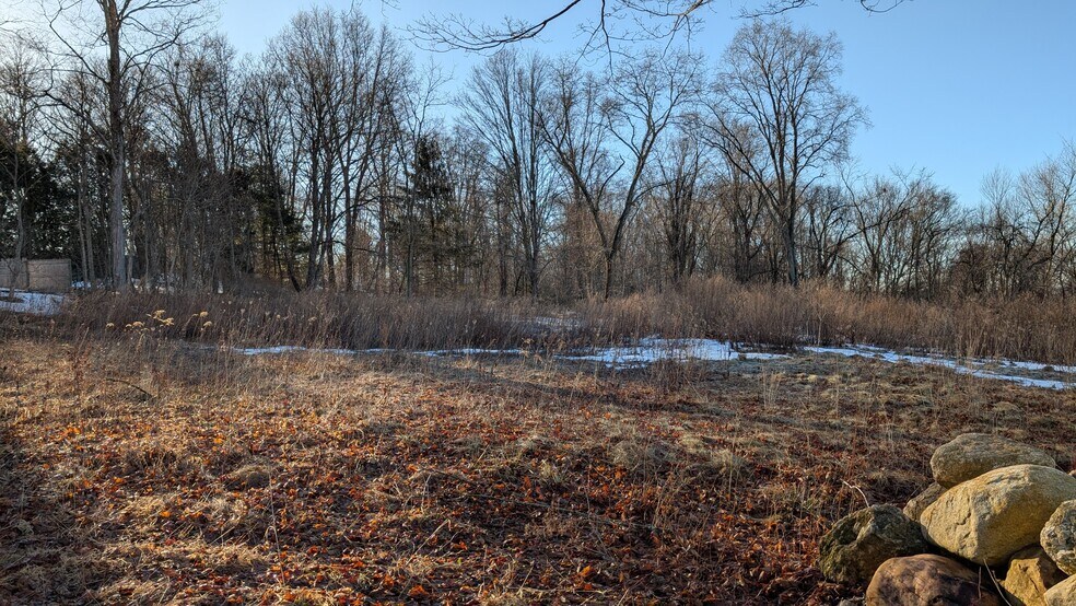More Photos Of 124 Halls Hill Rd, Colchester Land For Sale