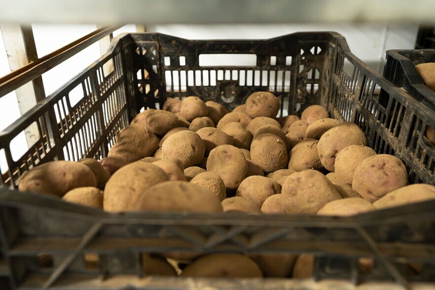 More Photos Of 1355 N Barlow St, Cornelius Winery Vineyard For Sale