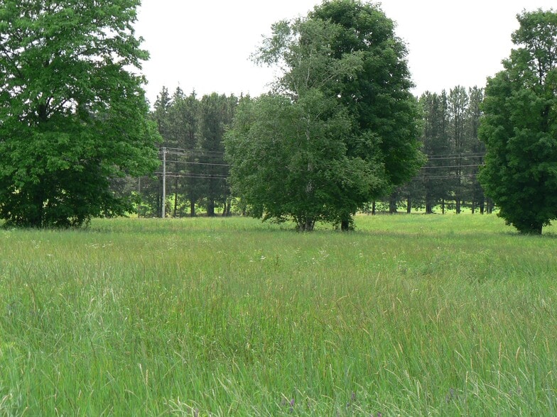 More Photos Of Mt Vernon St, Newport City Land For Sale