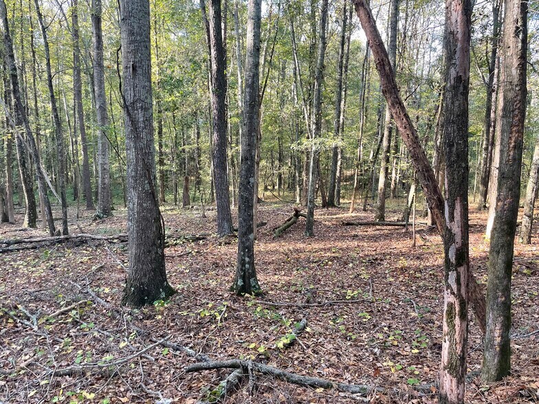 More Photos Of 44 County Line-Auburn Road, Auburn Land For Sale