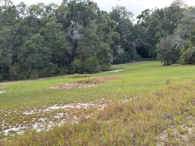 More Photos Of 3327 Golden Gem Rd, Apopka Land For Sale