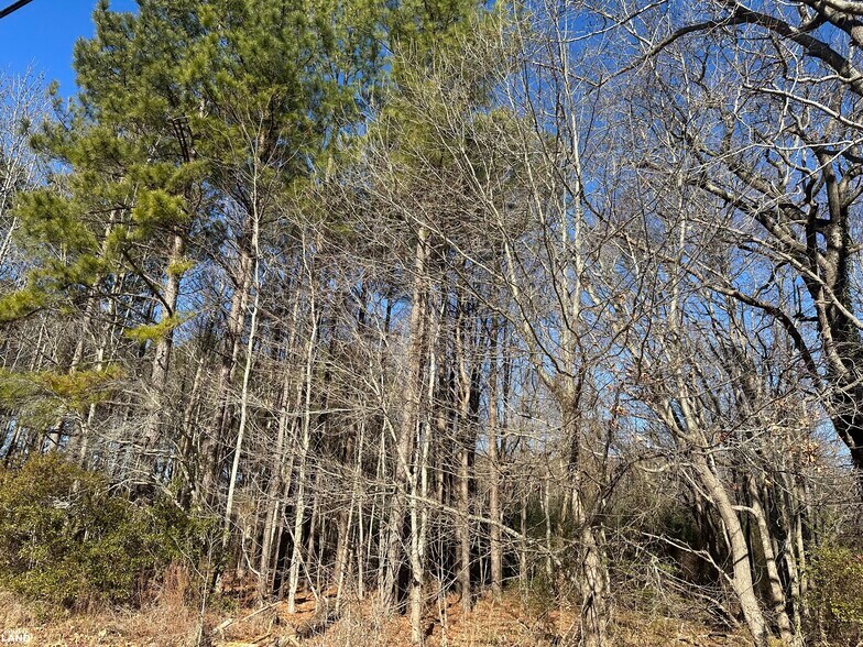 More Photos Of 00 Taylors Beach rd, Reedville Land For Sale