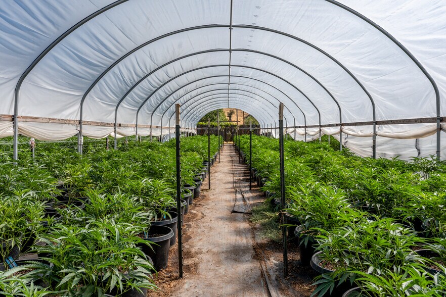 More Photos Of 2000 Clover Valley Rd, Upper Lake Land For Sale