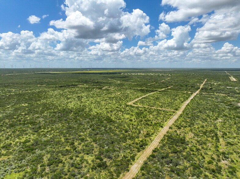 More Photos Of Las Brisas Road, Rio Grande City Land For Sale