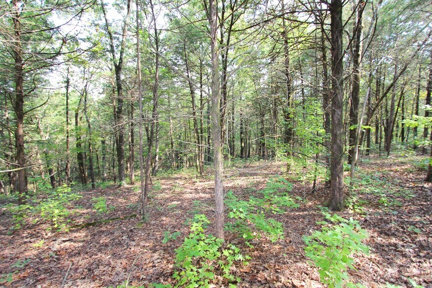 More Photos Of 226 Blythe rd, Greenbrier Land For Sale