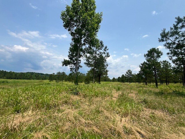 More Photos Of 2200 Oweda Dr, Conover Land For Sale