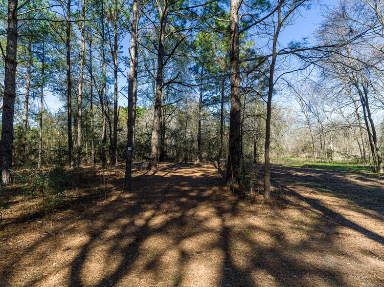 More Photos Of 11201 County Road 203, Plantersville Specialty For Sale