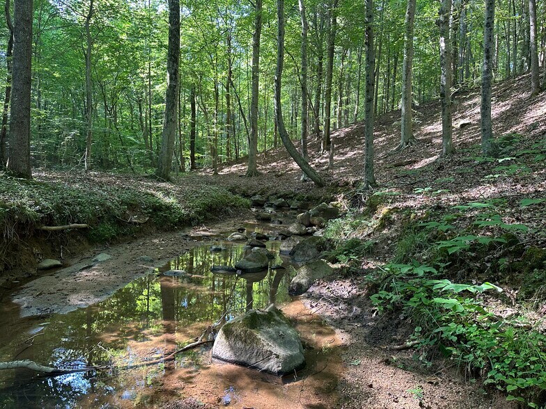 More Photos Of 400 Eden Church rd, Madison Land For Sale