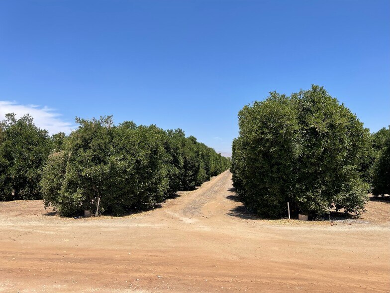 Orange Cove area, Orange Cove, CA 93646 Land For Sale