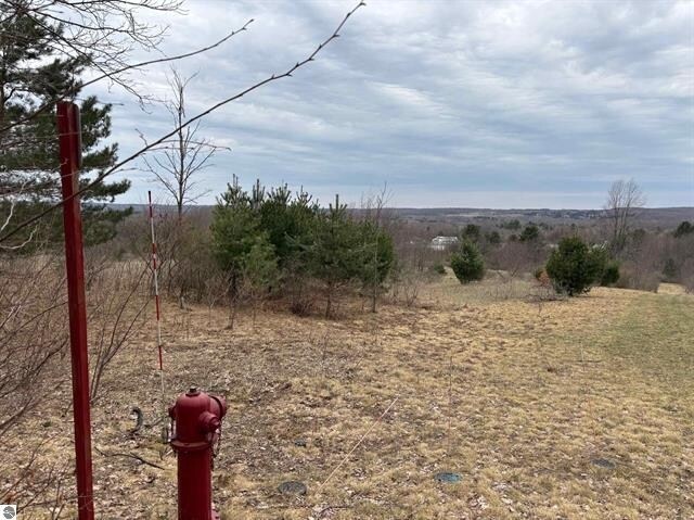 More Photos Of 00 South St, Benzonia Land For Sale