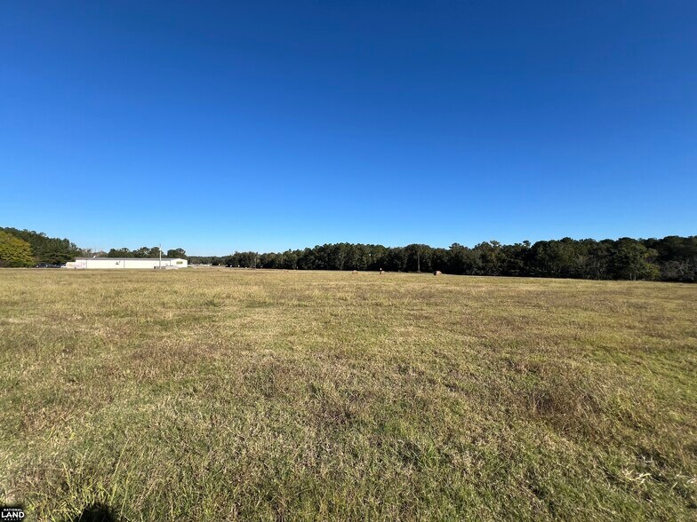 Primary Photo Of 0 Tallahassee Highway, Attapulgus Land For Sale