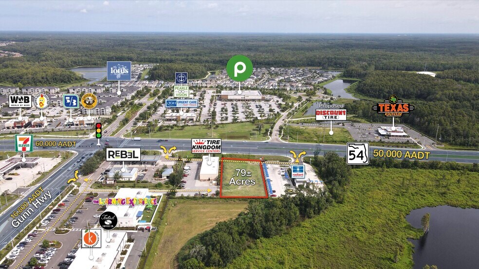 More Photos Of 13622 FL-54, Odessa Land For Sale