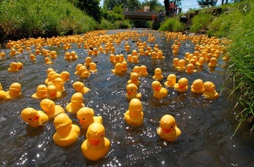 More Photos Of 113 S Main St, Lodi Loft Creative Space For Sale