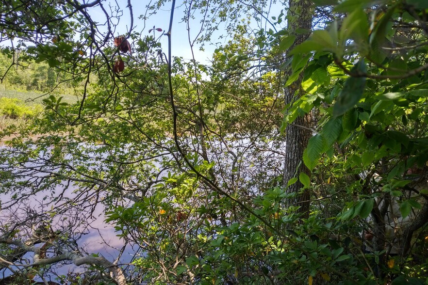 More Photos Of Trigger Lane, Colonial Beach Land For Sale