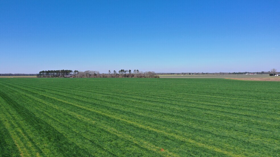 Primary Photo Of Lot 14 Davis Pond Rd rd, Atmore Land For Sale