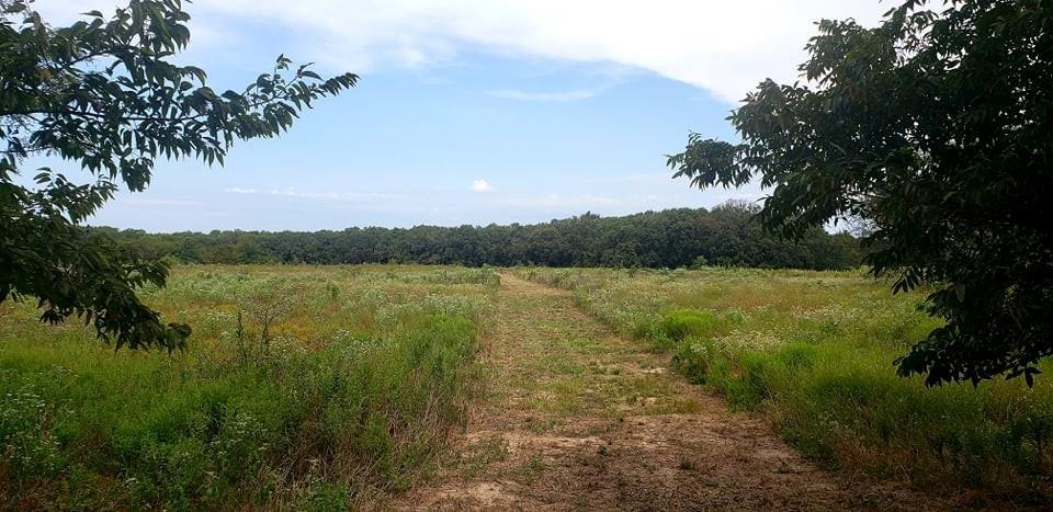 More Photos Of 2383 Goodnight Boulevard, Wills Point Land For Sale