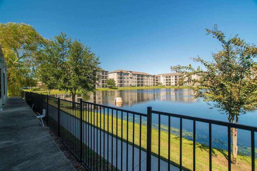 More Photos Of , Magnolia Unknown For Sale