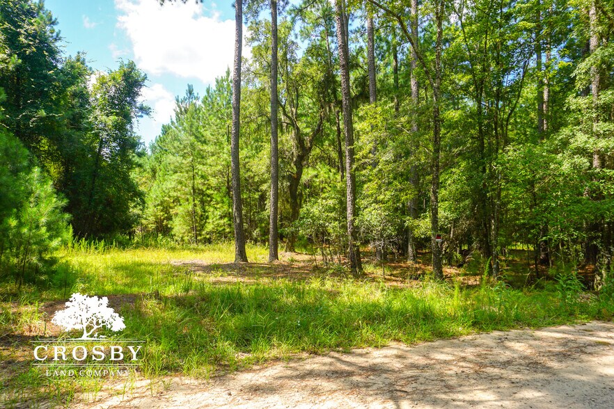 More Photos Of 3009 Lowcountry Drive, Ridgeland Land For Sale