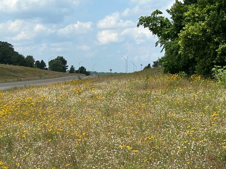 More Photos Of TBD TX-19 N, Athens Land For Sale