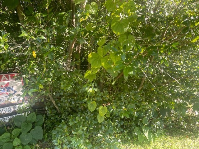 Primary Photo Of 0 Aldington Dr, Jacksonville Land For Sale