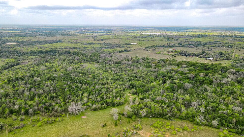 More Photos Of TBD Sparta Field Road, Waelder Land For Sale