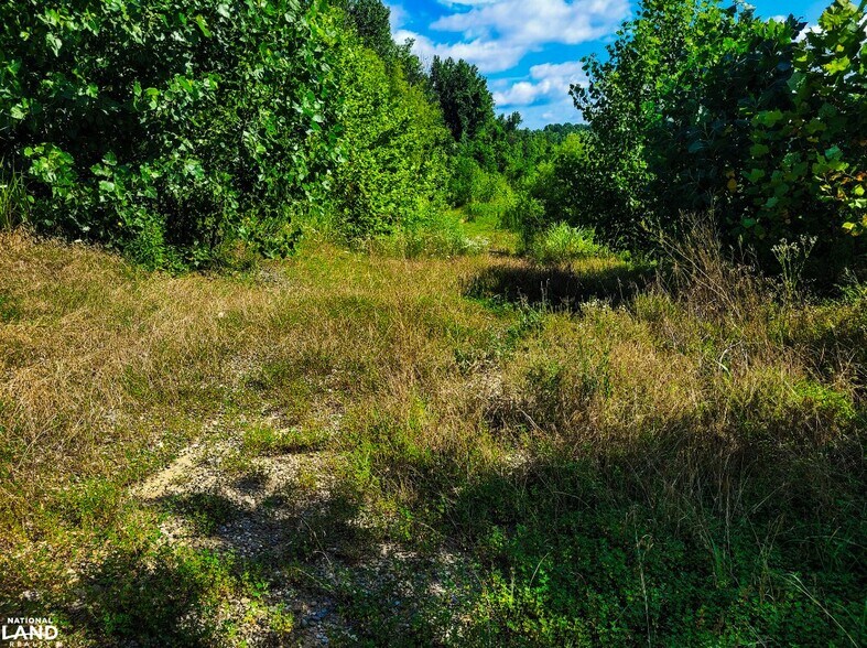More Photos Of 3200 W Old Highway 11 SW, Mauckport Land For Sale