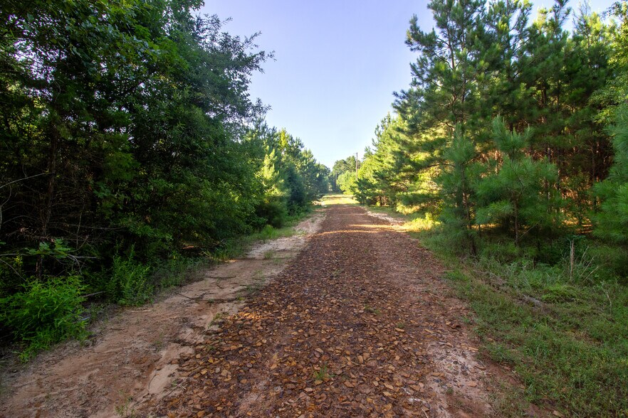 More Photos Of 2539 FM 995, Atlanta Land For Sale