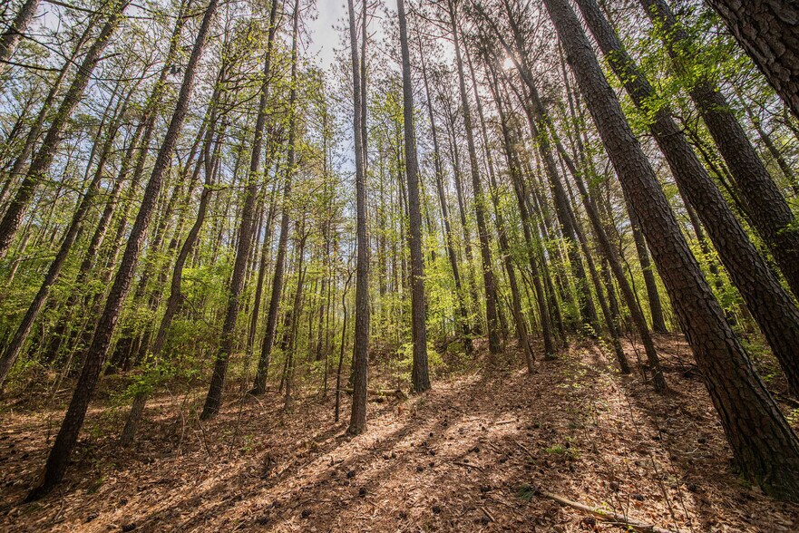 More Photos Of 84 Launch Ln, Murray Land For Sale