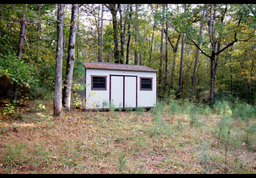 More Photos Of 8.5 ACRES +/- TBD CR 319, Broaddus Land For Sale