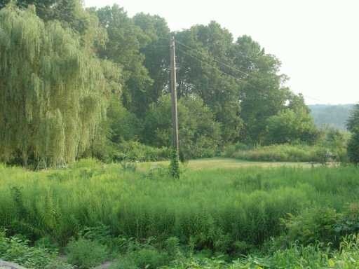 Primary Photo Of 609 International Blvd, Rock Tavern Land For Sale