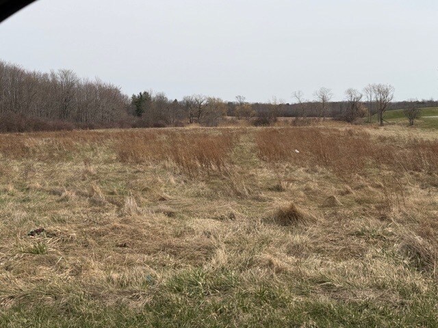 More Photos Of Approx. 4593 S Madison Rd, Madison Land For Sale