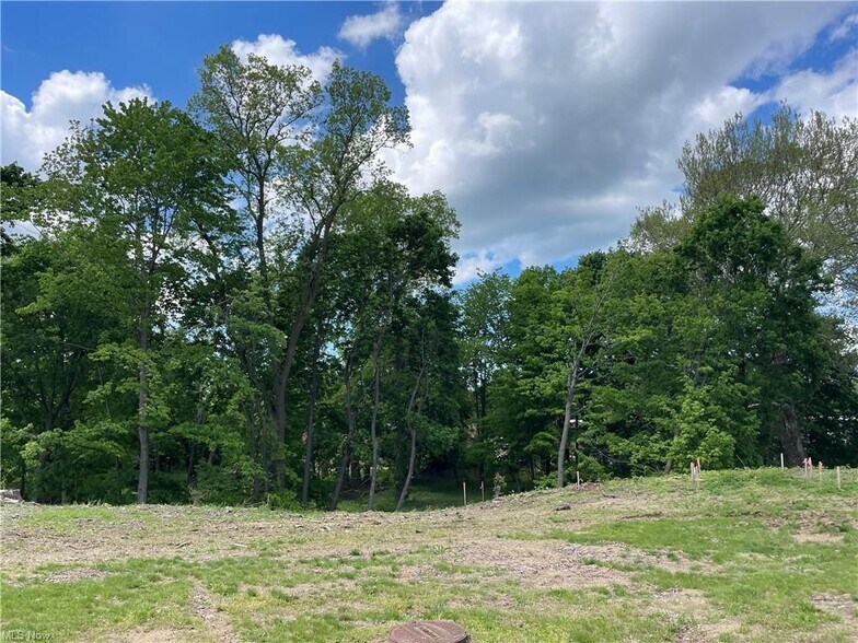 More Photos Of 9025 Jackson st, Mentor Land For Sale