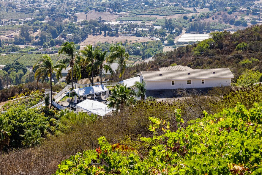 More Photos Of 2286 Sunshine Mountain Rd, San Marcos Winery Vineyard For Sale